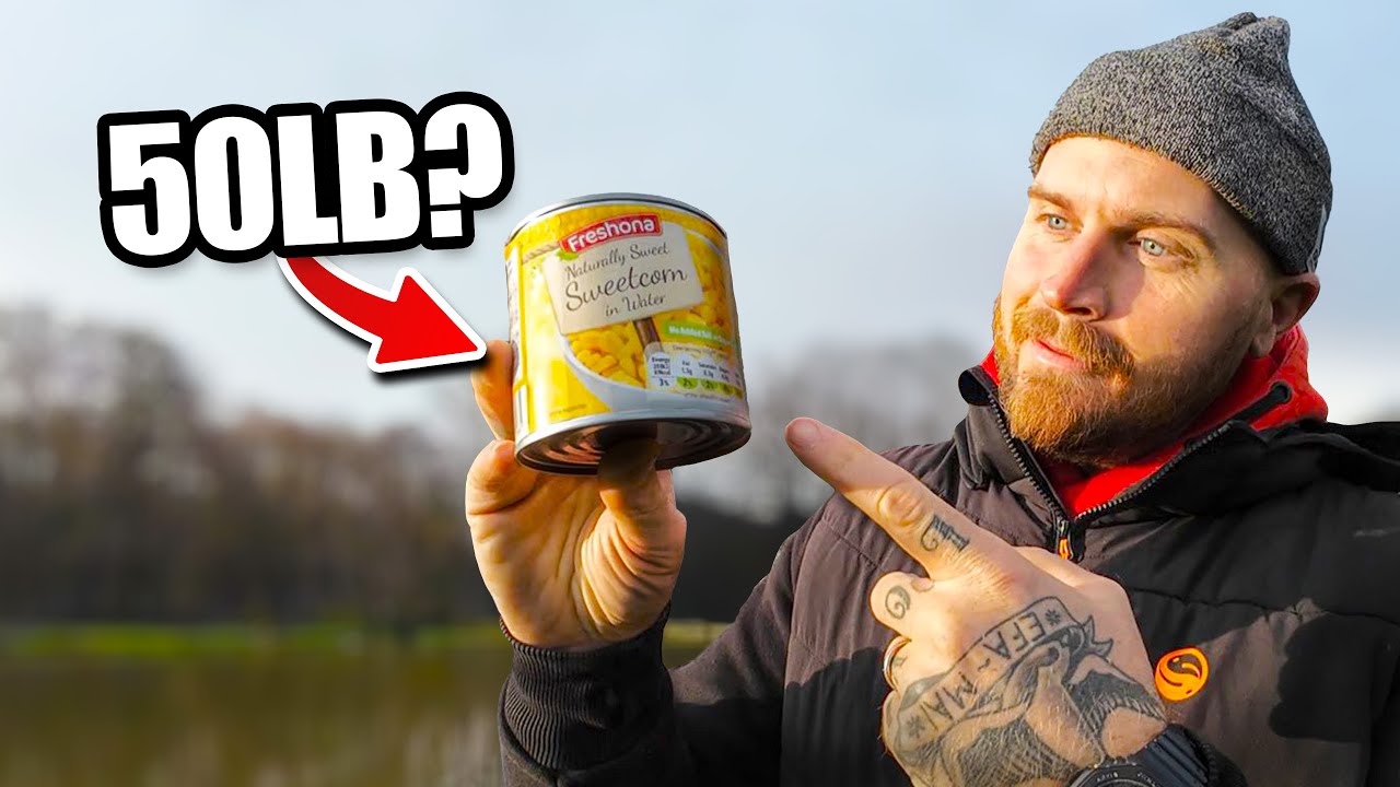 The Experiment, 62p bait bill!! 