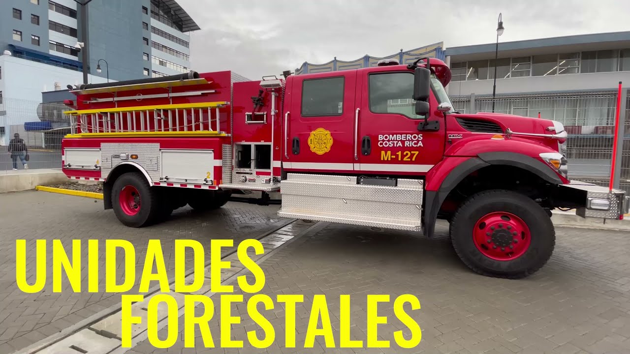 Características de las unidades Custom