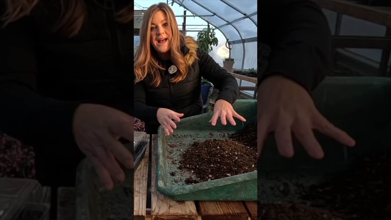 7 Tips For Growing Herbs From Seed 🌿🌱// Garden Answer
