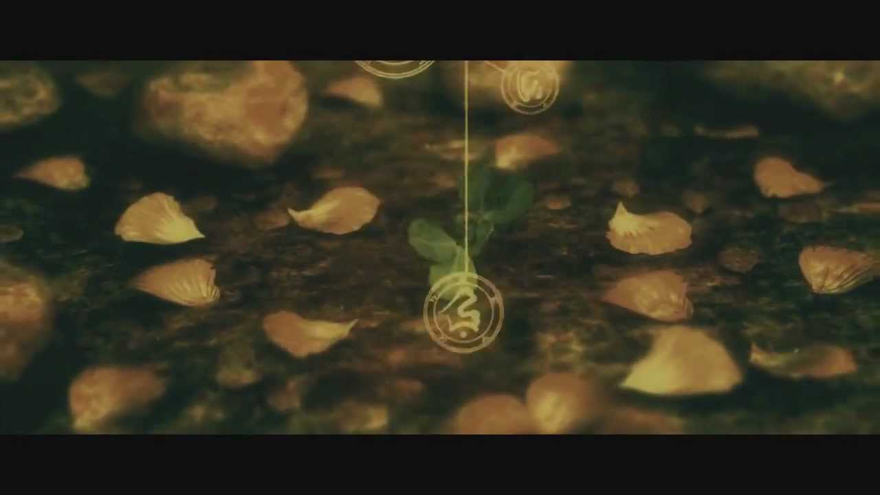 Molecul & ROSA - Нет