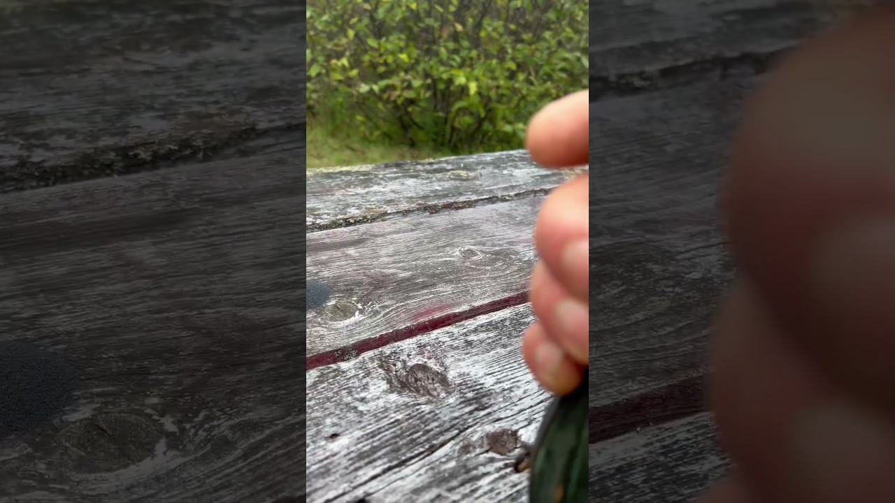Blackpowder versus Pyrodex flame test