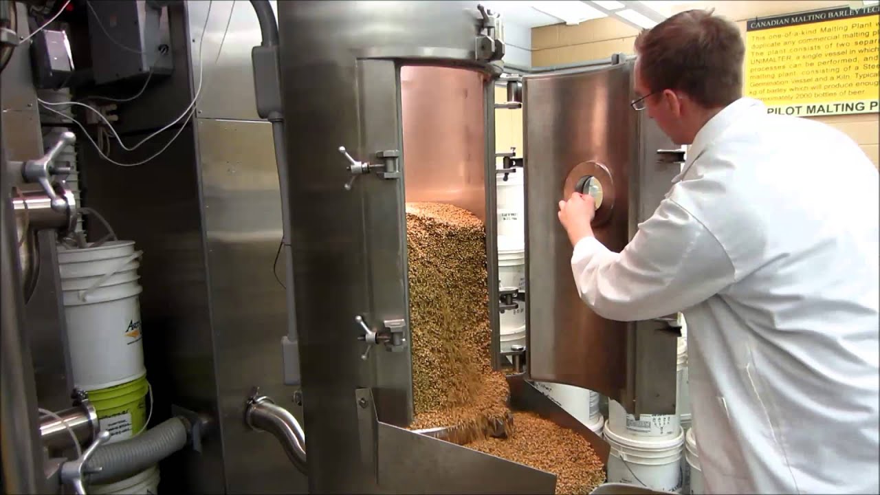 Malting Barley - Kilning