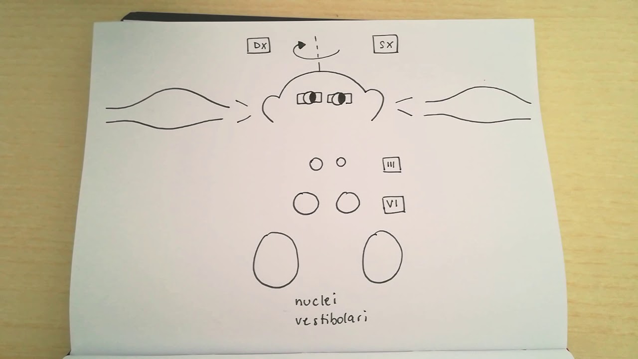 Riflesso Vestibolo - Oculare semplice