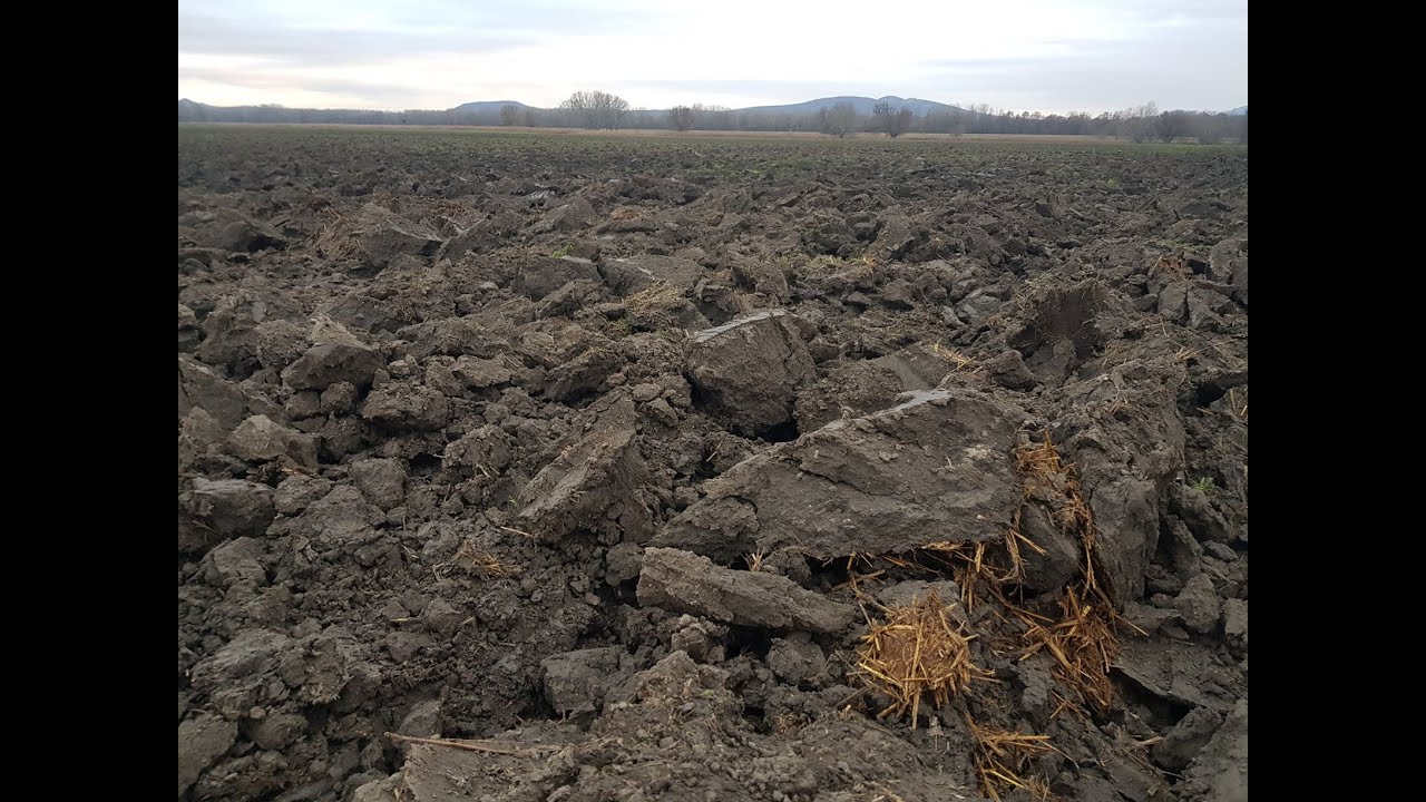 Technológia orby už svoju historickú úlohu dohrala #notill #biopratex