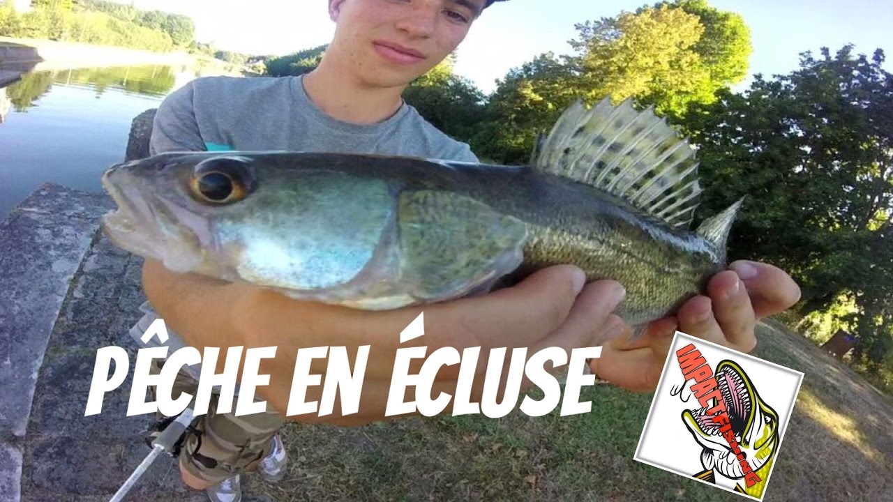 Pêche Multi-Carnassier en Écluse (Sandre, Perche, Brochet) | En Loire | GoProHD
