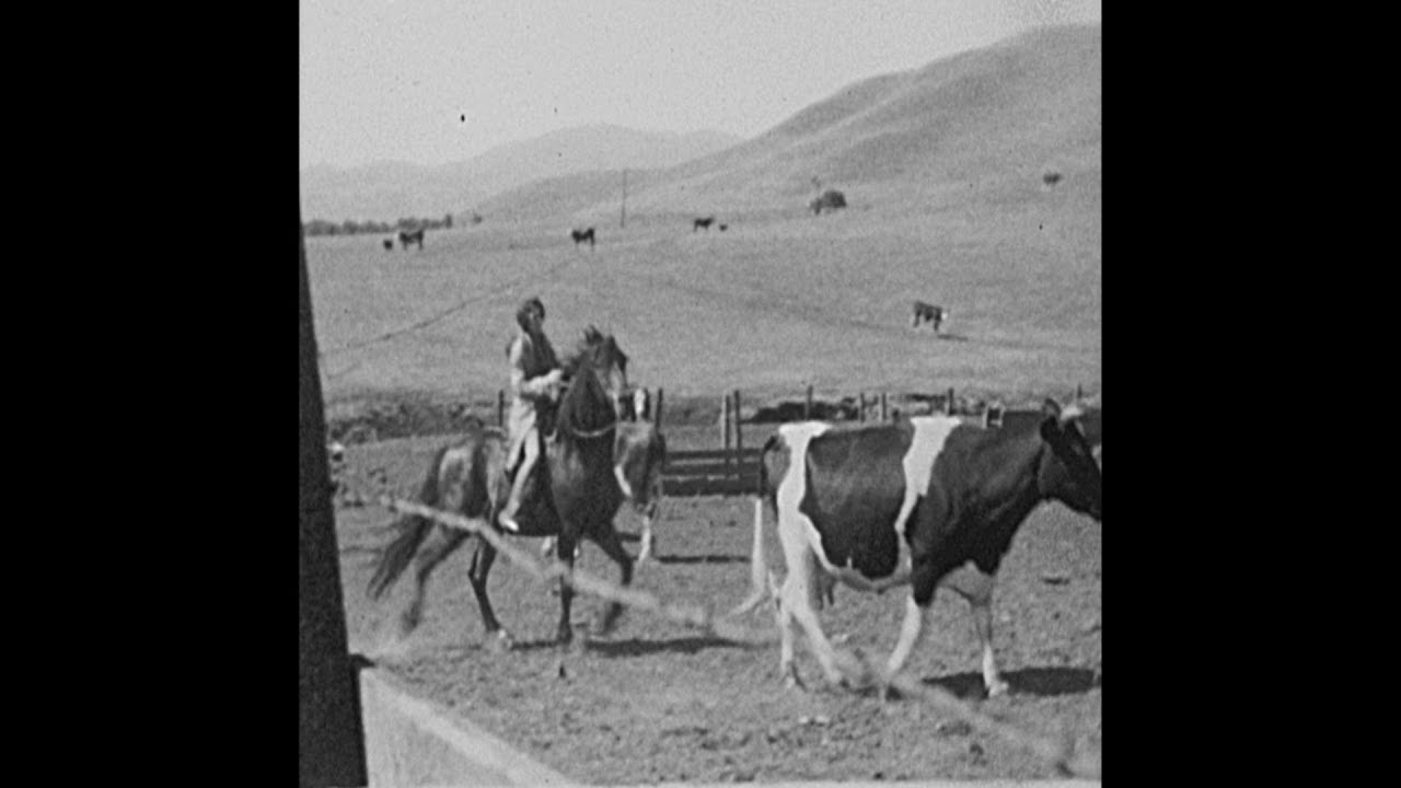Roundup and BBQ in Danville, CA - 1934