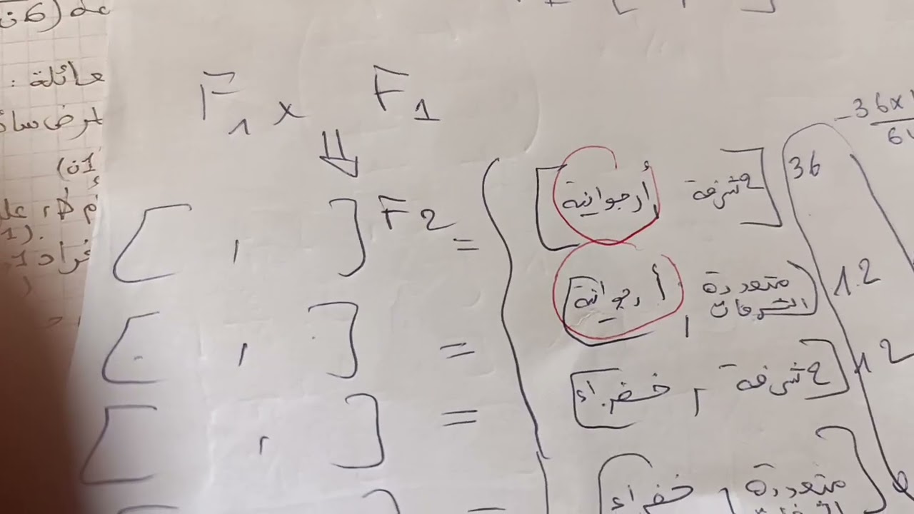 هل المورثتان مرتبطتان أم مستقلتان؟؟