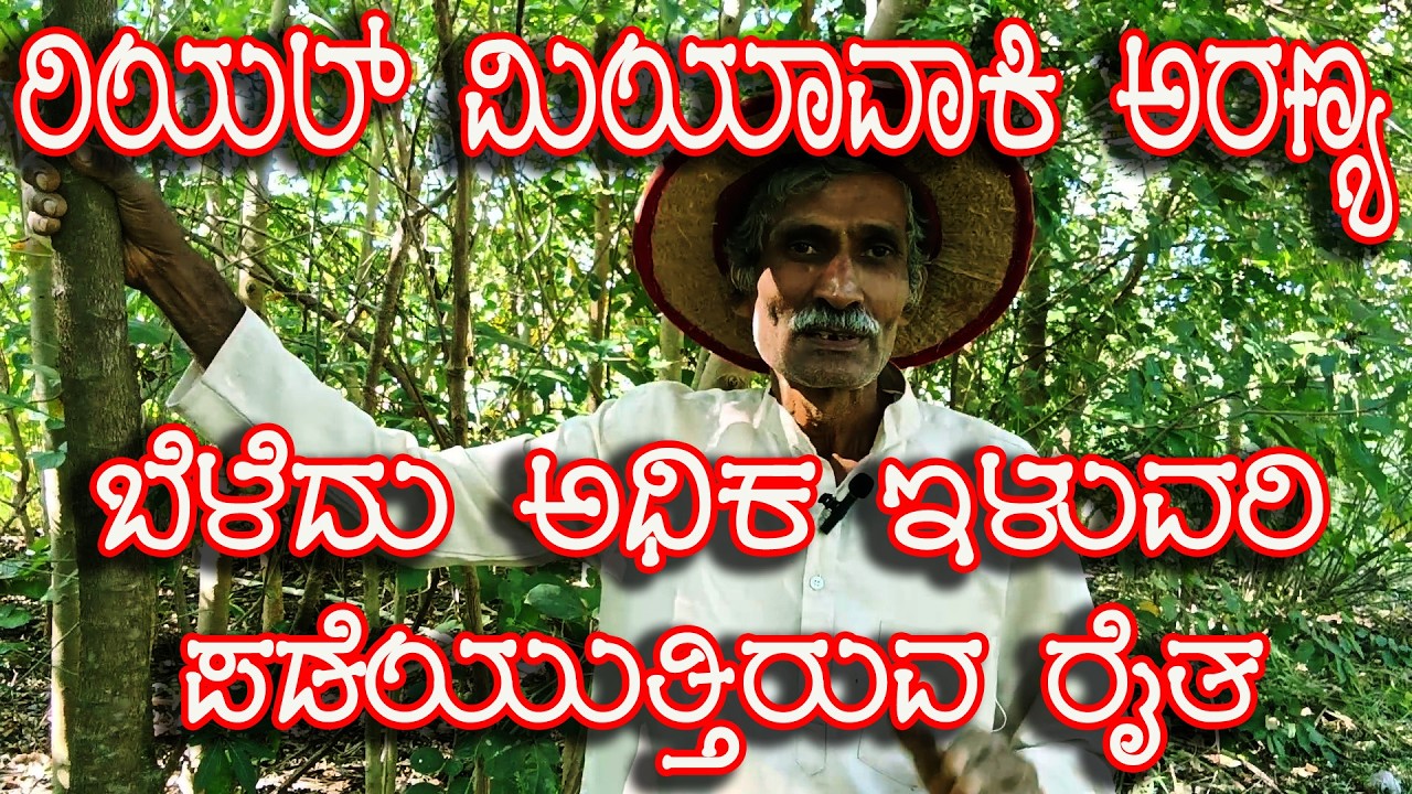 ರಿಯಲ್ ಮಿಯಾವಾಕಿ ಅರಣ್ಯ ಬೆಳೆದು ಅಧಿಕ ಇಳುವರಿ ಪಡೆಯುತ್ತಿರುವ ರೈತ