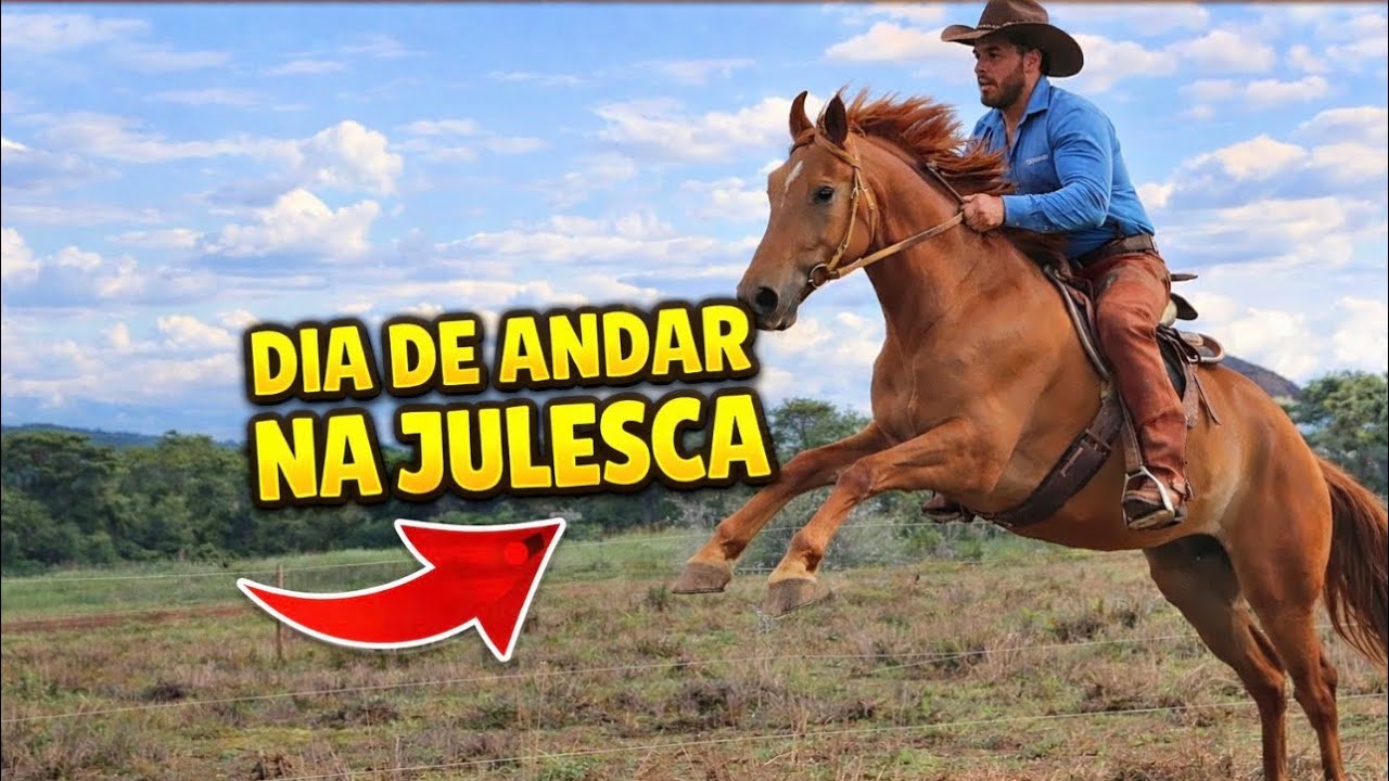 Dia de andar na Julesca, uma égua muito quente e assustada depois de mais de 15 dias sem montar!!!🤠🐴