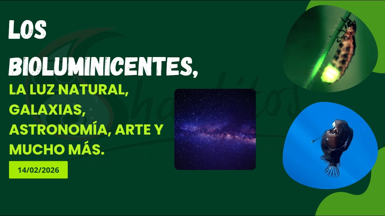 Mujeres y Niñas en la Ciencia / Mes de los Bioluminiscentes 2 #Shaulitos