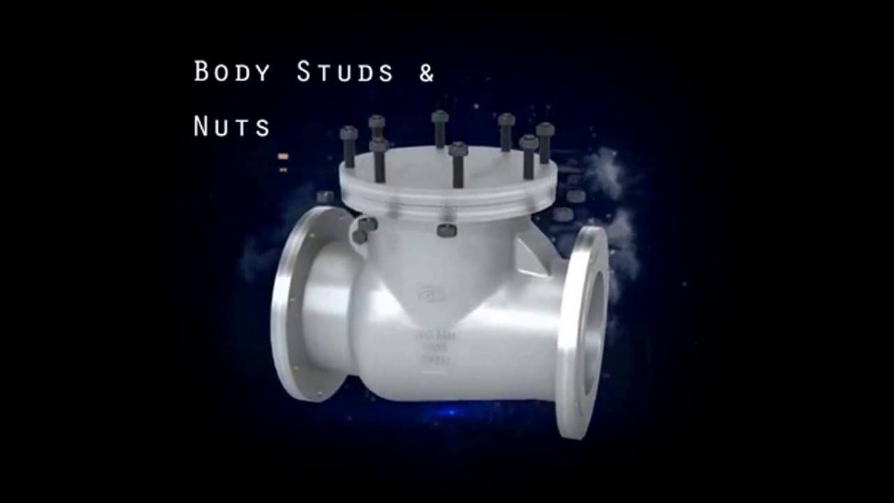 Check(NRV) Valve part names and how to assemble