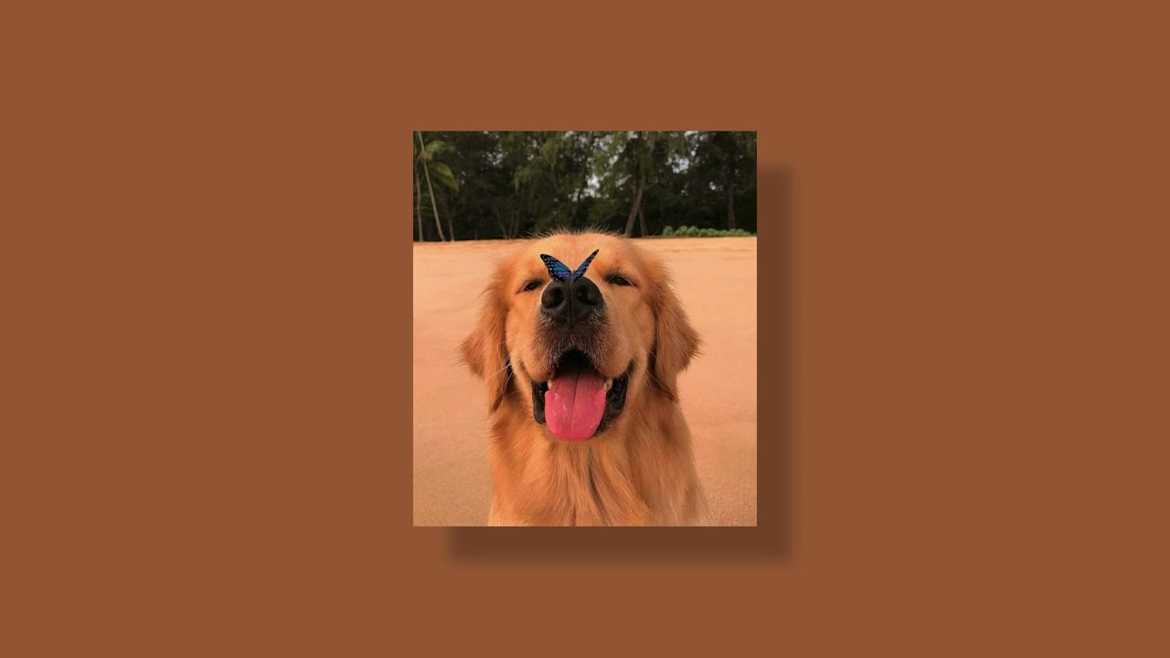 🎧I'll Keep You Safe - Sagun, Shiloh  •  Sped Up 🎧