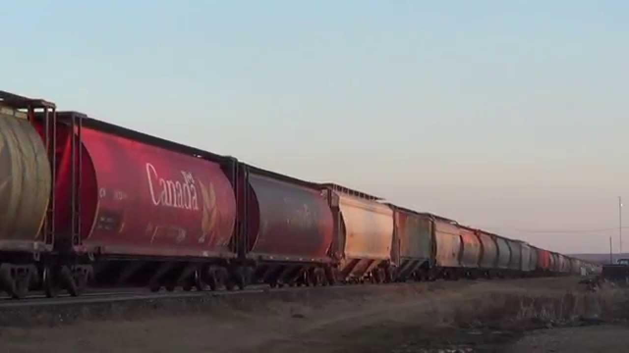 CN Grain Train Togo Sub.