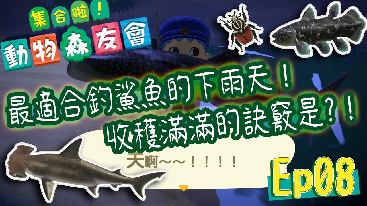 【檸檬系】動森精華#8 下雨的島收穫滿滿鯊魚!有什麼釣魚小技巧?!怎樣能拿到更多通訊零件?!