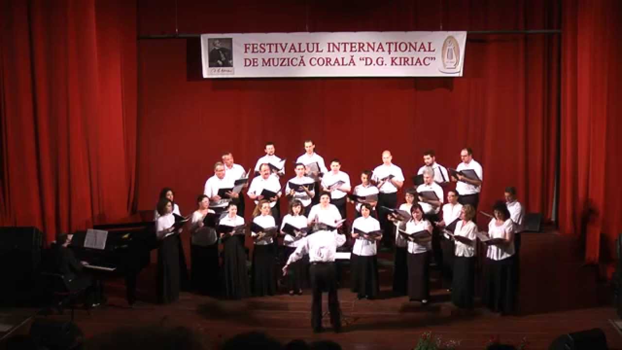 Ploaia - Miroslav Hronek