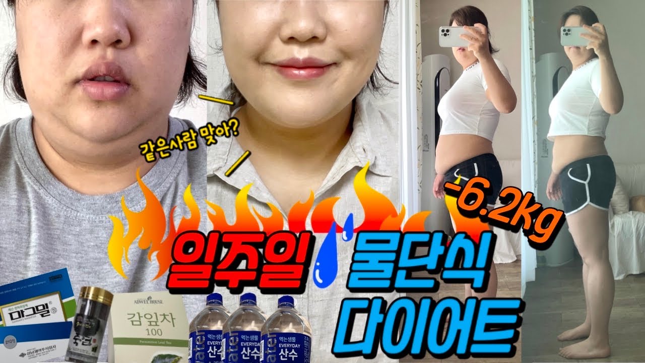 일주일 물 단식 고도비만 다이어트 브이로그 -6.2kg 성공후기 성공법,준비물 급찐급빠 의외로 장점이 많은 단식! 폭식 요요 절대금지! 초고도비만 탈출!