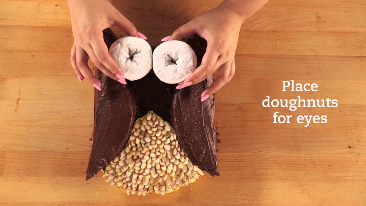 Cute Owl Cake -- One of Our Most Popular Recipes Ever!