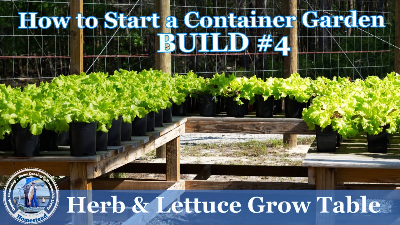 How to Start a Container Garden  #4 (BUILD) Herb & Lettuce Grow Table