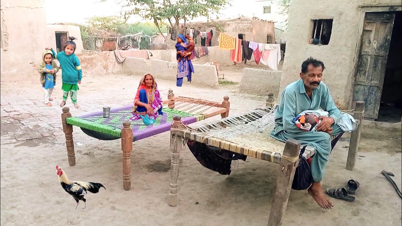 Sindh Village Life Vlog Video Sindh Village Rural Life Vlog 