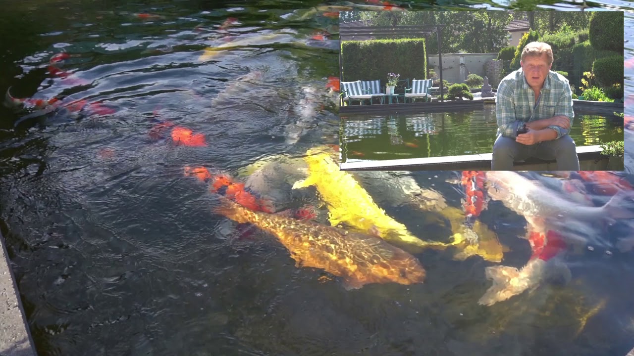 Koi Blog #274 - Rieselfilter in einer Schwerkraftanlage, geht das?