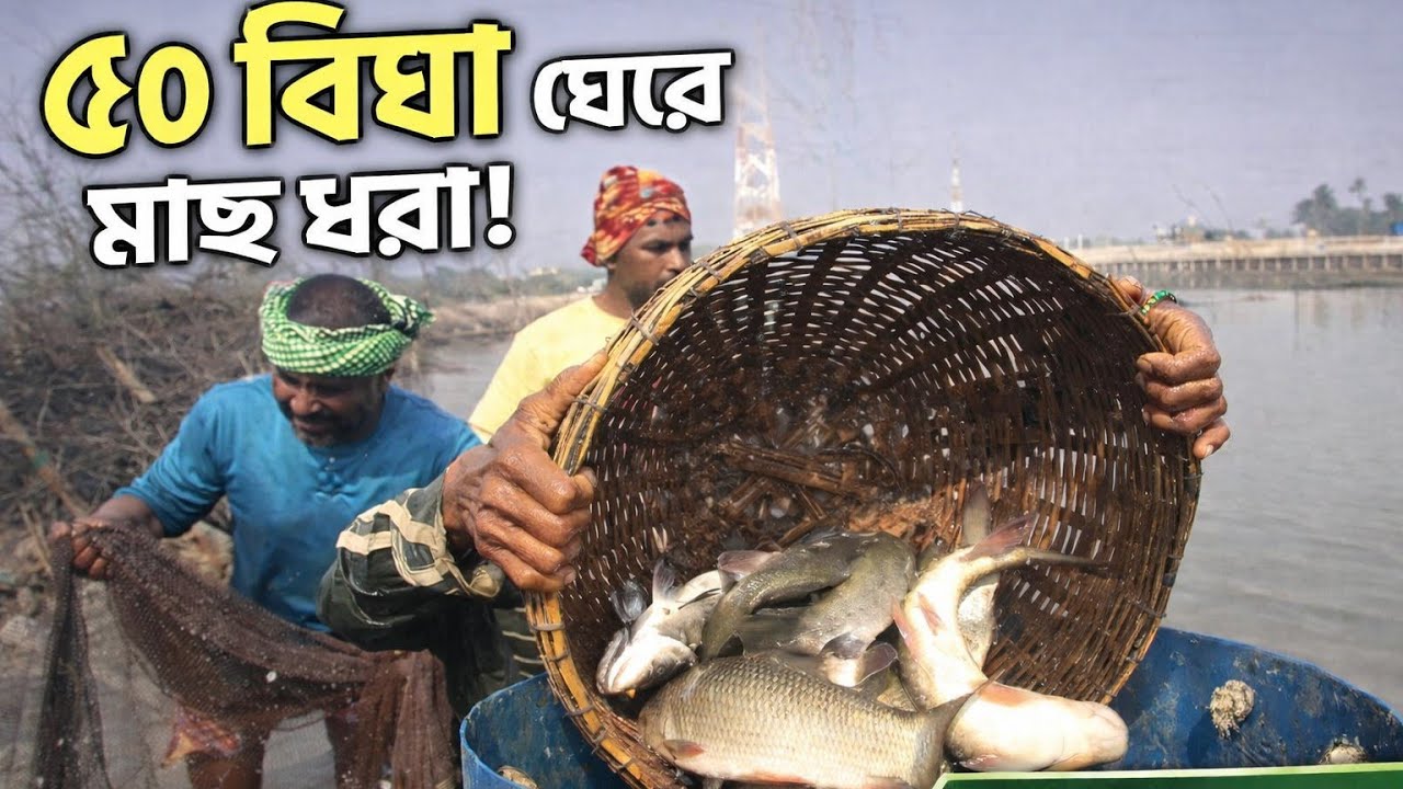 Traditional Pond Fishing | Village Life in Bangladesh