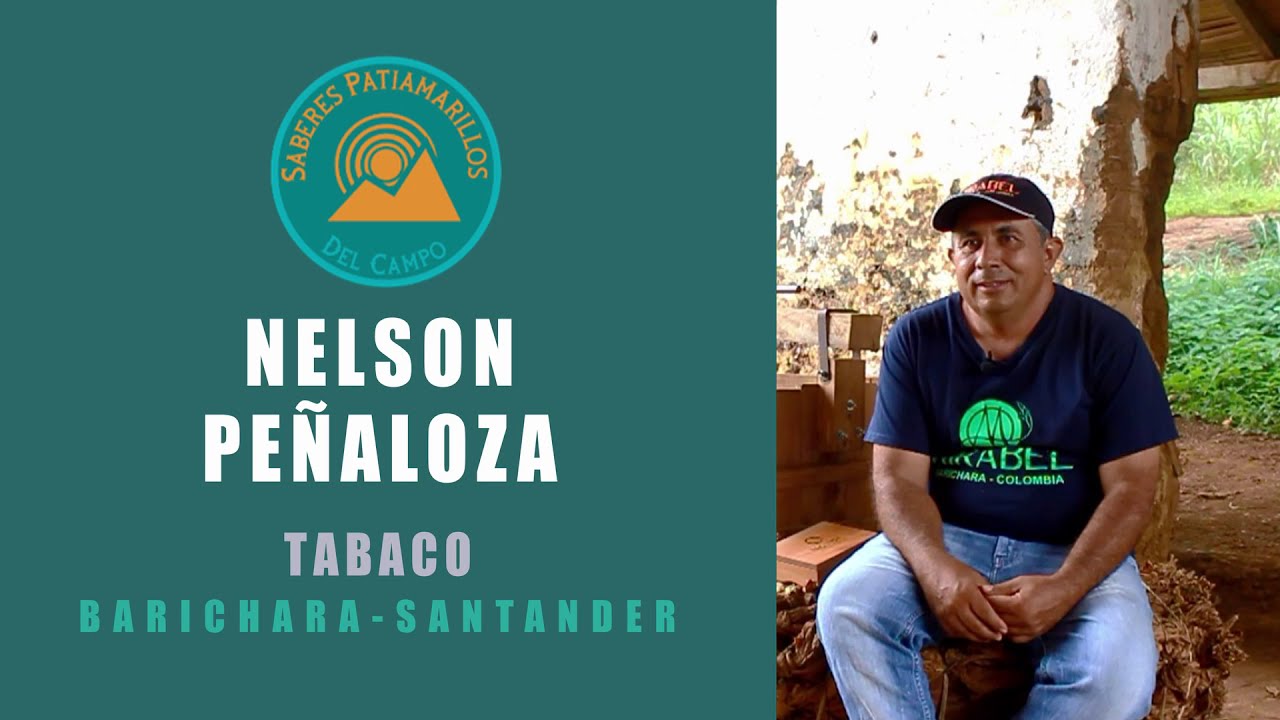 Nelson Pe&ntilde;aloza, Tabaco - Saberes Patiamarillos (Barichara, Santander)