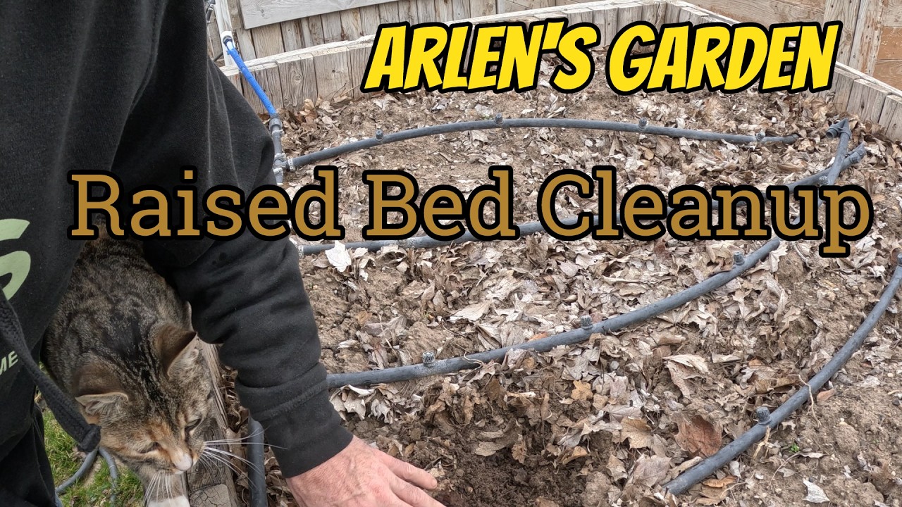 #91 Spring Garden Prep: Cleaning & Feeding My Raised Beds