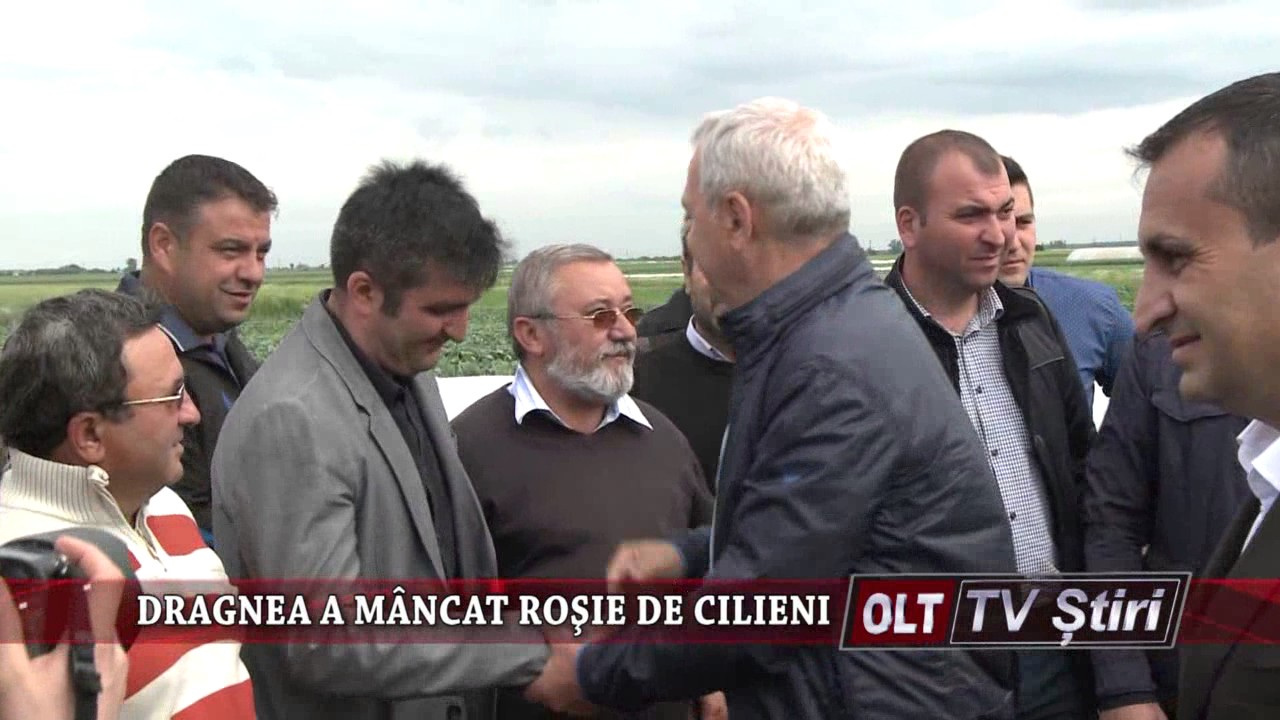 DRAGNEA A MANCAT ROSIE DE CILIENI 1505