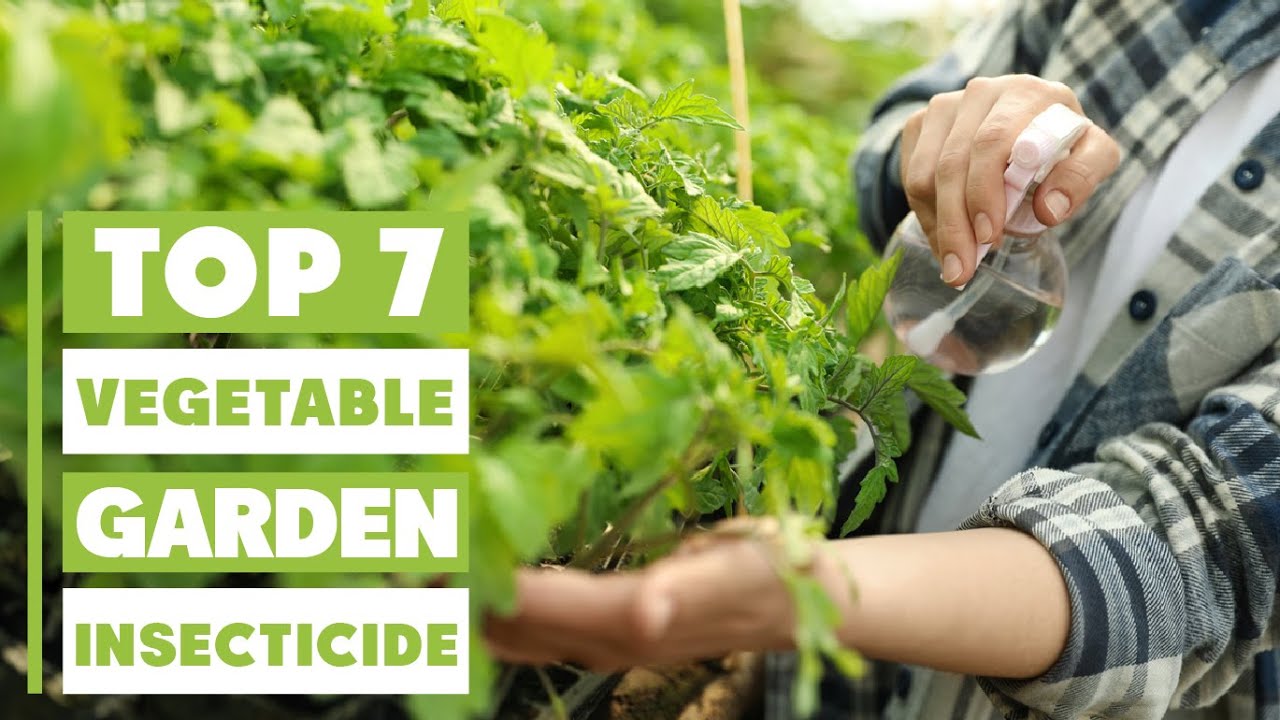 Best Insecticide for Vegetable Garden: Our Top 7 Picks