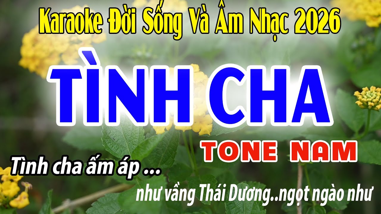 Tình Cha Tone Nam | Am | Karaoke Đời Sống Và Âm Nhạc | Beat 2026