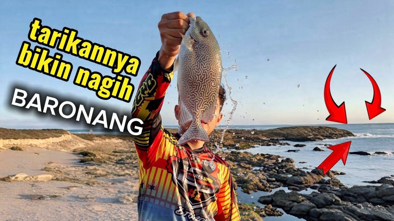MANCING BARONANG !!! STRIKE BABON BERTUBIBI & HASILNYA LANGSUNG KITA MASAK GULAI SANTAN BARONANG