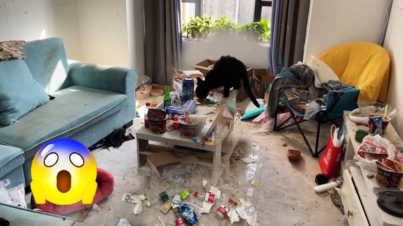 🤮Tenant Abandoned Cat In A Room Full Of Garbage