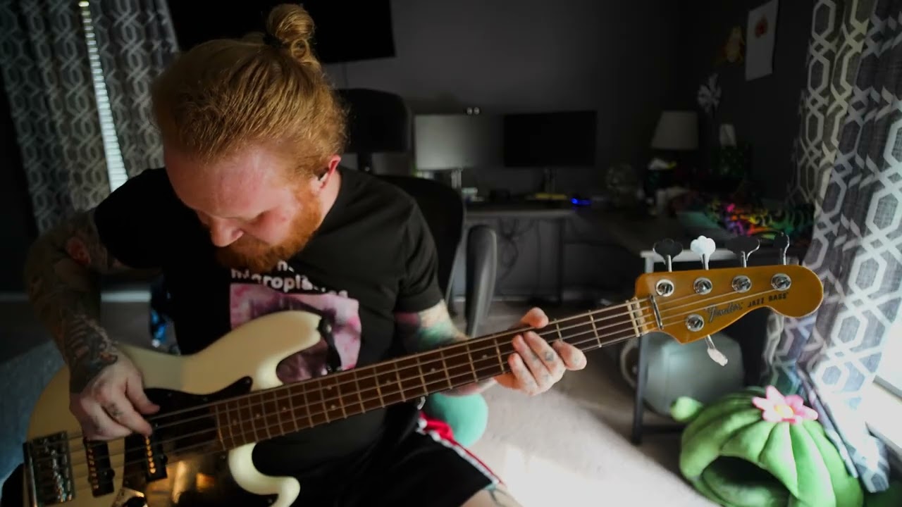 Suck My Kiss - Red Hot Chili Peppers bass cover by Johnathan West