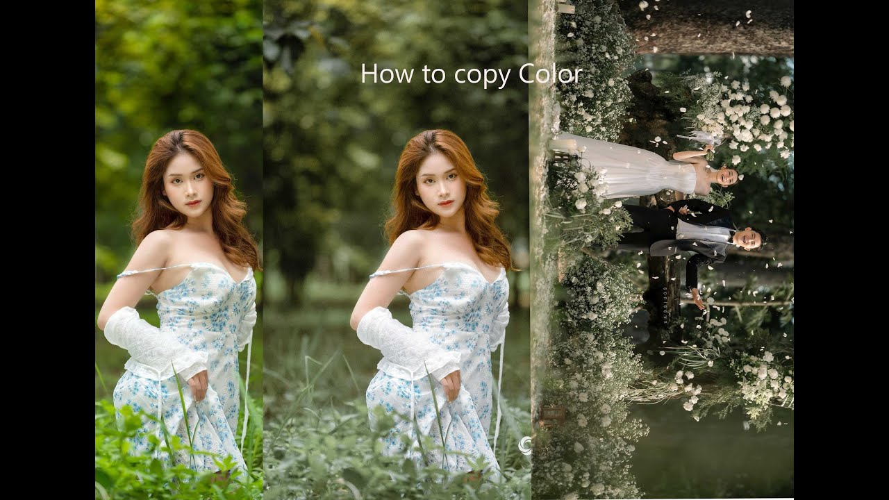 របៀបដែលខ្ញុំ Copy ពណ៍គេ