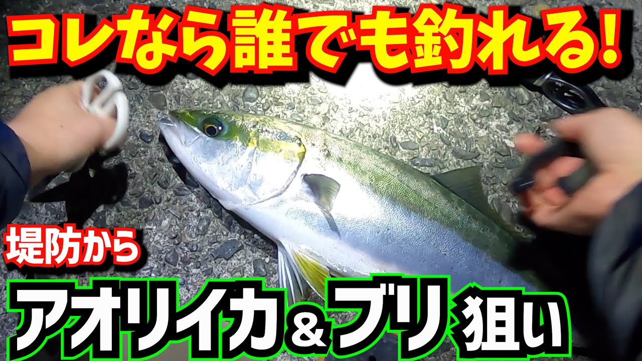 釣ったアジ普通に食べるのもったいない!!ぶん投げたら倍オイシイぞ!!【アジングからの泳がせ釣り】