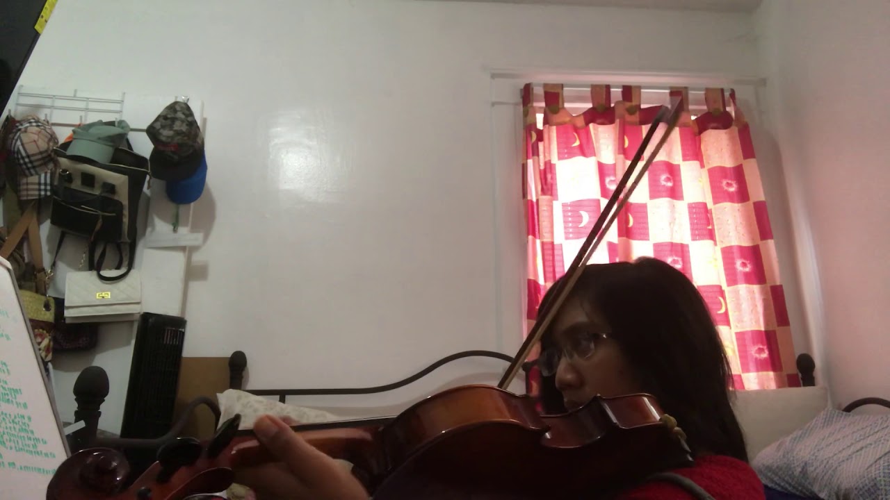 Niall Horan- Black and White Violin Cover