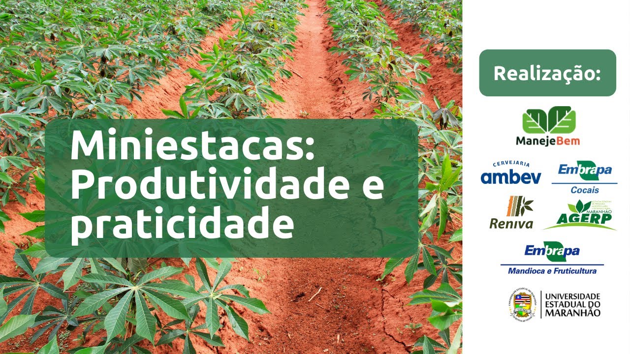 Miniestacas: Produtividade e praticidade