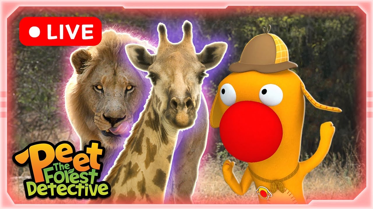 🔴 NEW Jungle Safari LIVE STREAM 🐒 #live #new #animals | Peet The Forest Detective