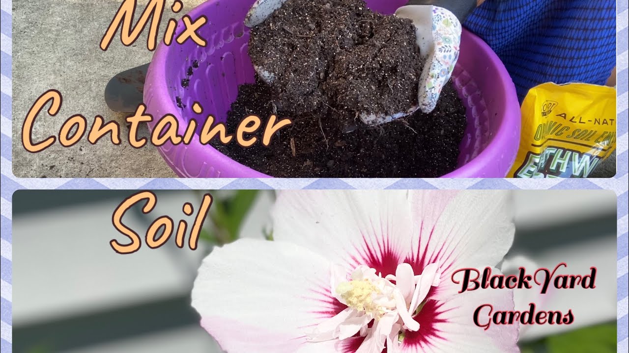 Container Soil | Reusing Potting Soil