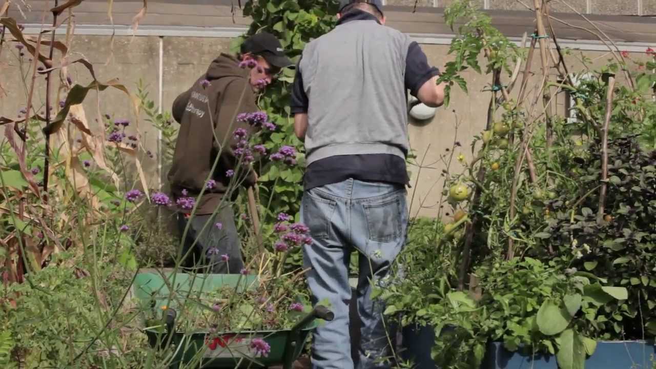 Ecotherapy in action