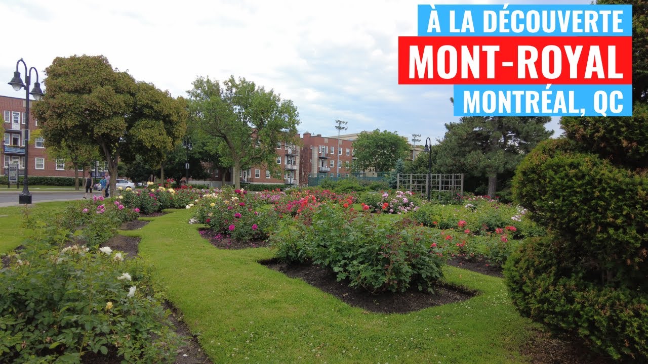 MONT-ROYAL, LA CITÉ-JARDIN | À la découverte de Mont-Royal EP03 S2