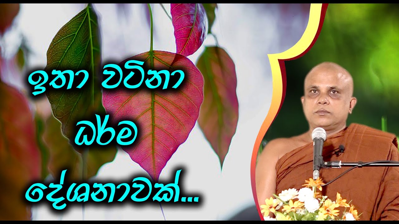 පුජ්‍ය වලස්මුල්ලේ ගුණරතන ස්වාමීන්ද්‍රයන් වහන්සේ (walasmulle Gunarathana Thero)