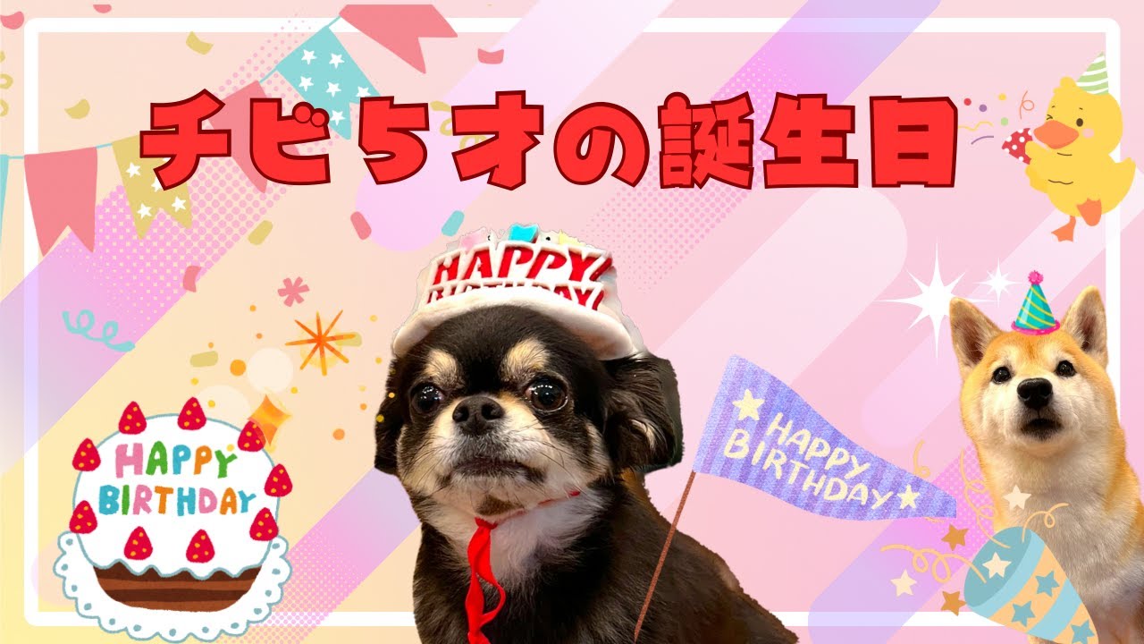 チビ5才の誕生日🎂