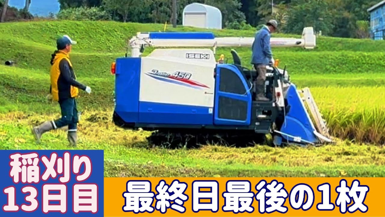 【稲刈り】最終日④最後の1枚。