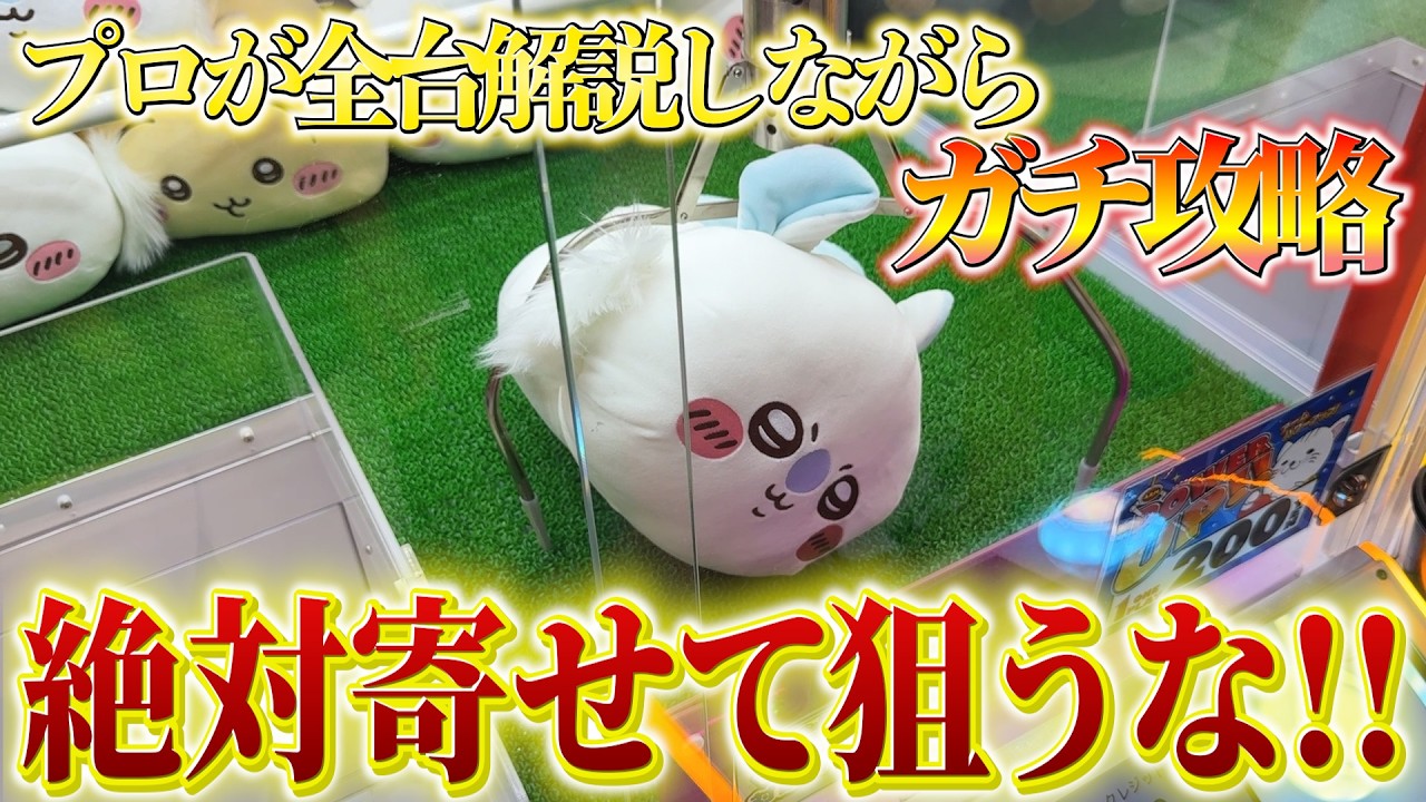【徹底解説】ゲーセンにある大きいぬいぐるみ全台プレイして攻略法を紹介します！！【クレーンゲーム・UFOキャッチャー】