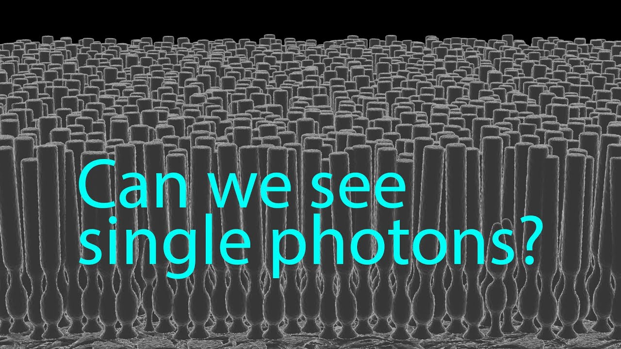 Можем ли мы увидеть отдельные фотоны?