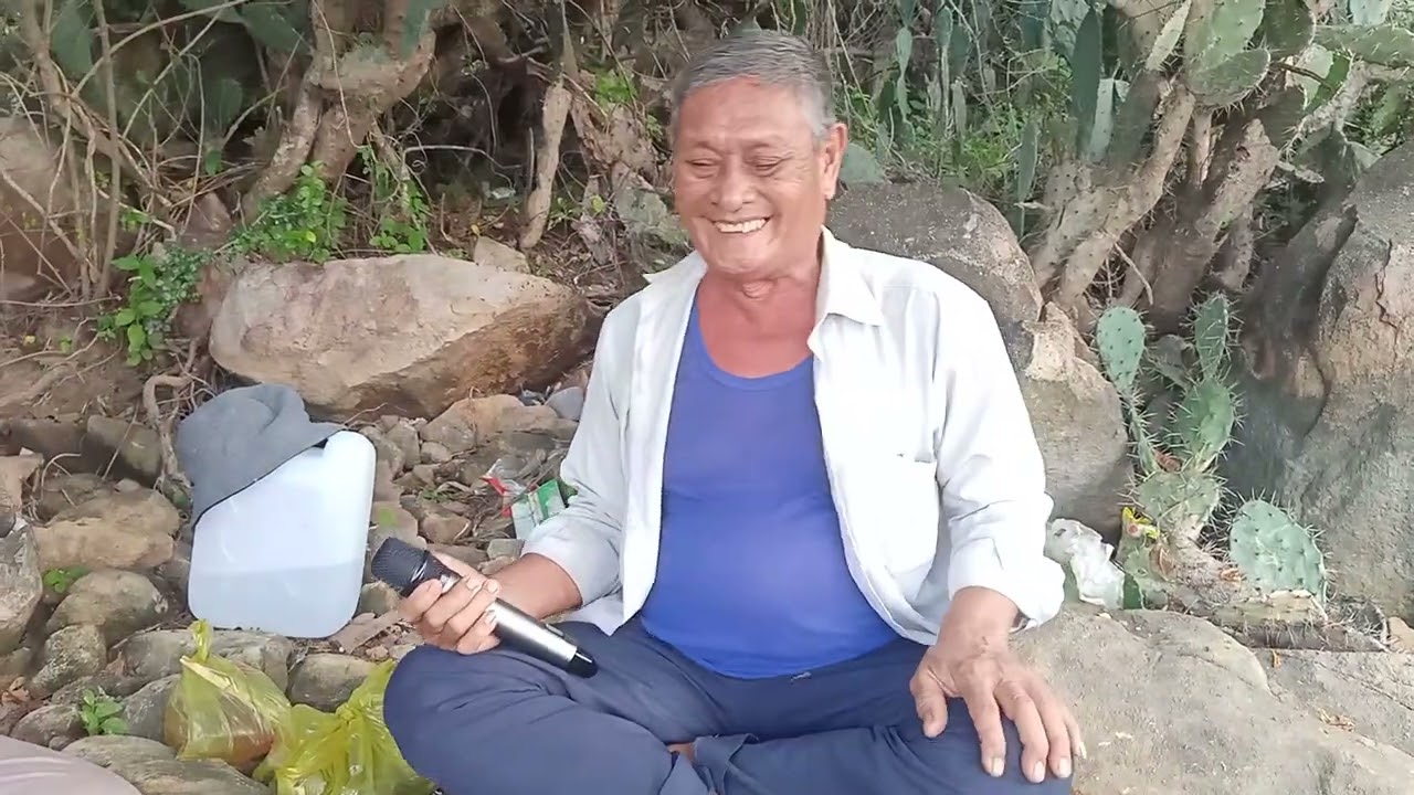 Câu cá giải trí