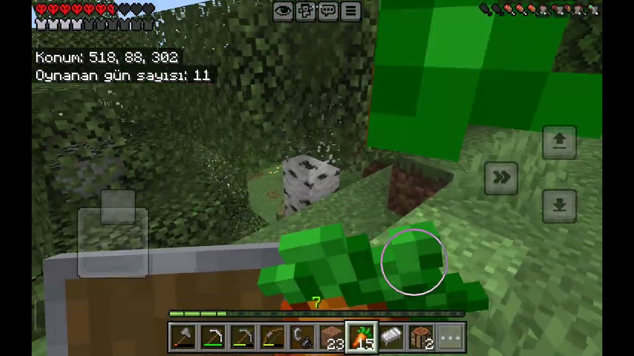 Minecraft 100 hayatta kalmaya çalıştım 