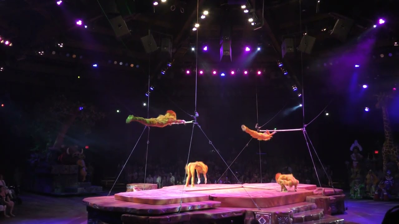 WDW 2017 AK Festival of the Lion King