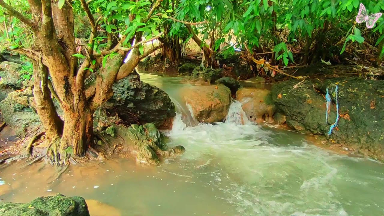Relaxing Music For Stress Relief, Anxiety and Depressive States🌲Heal Mind, Body and Soul 20